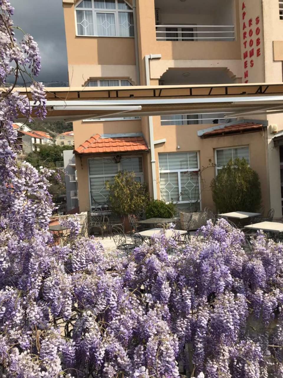 Guesthouse Villa Gaga Budva Exterior photo